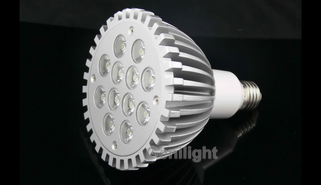 LED High Power Spotlight