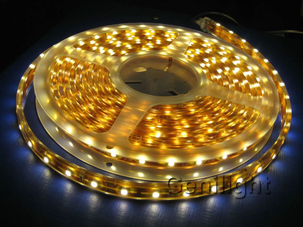 waterproof IP65 silicon tube LED Strip